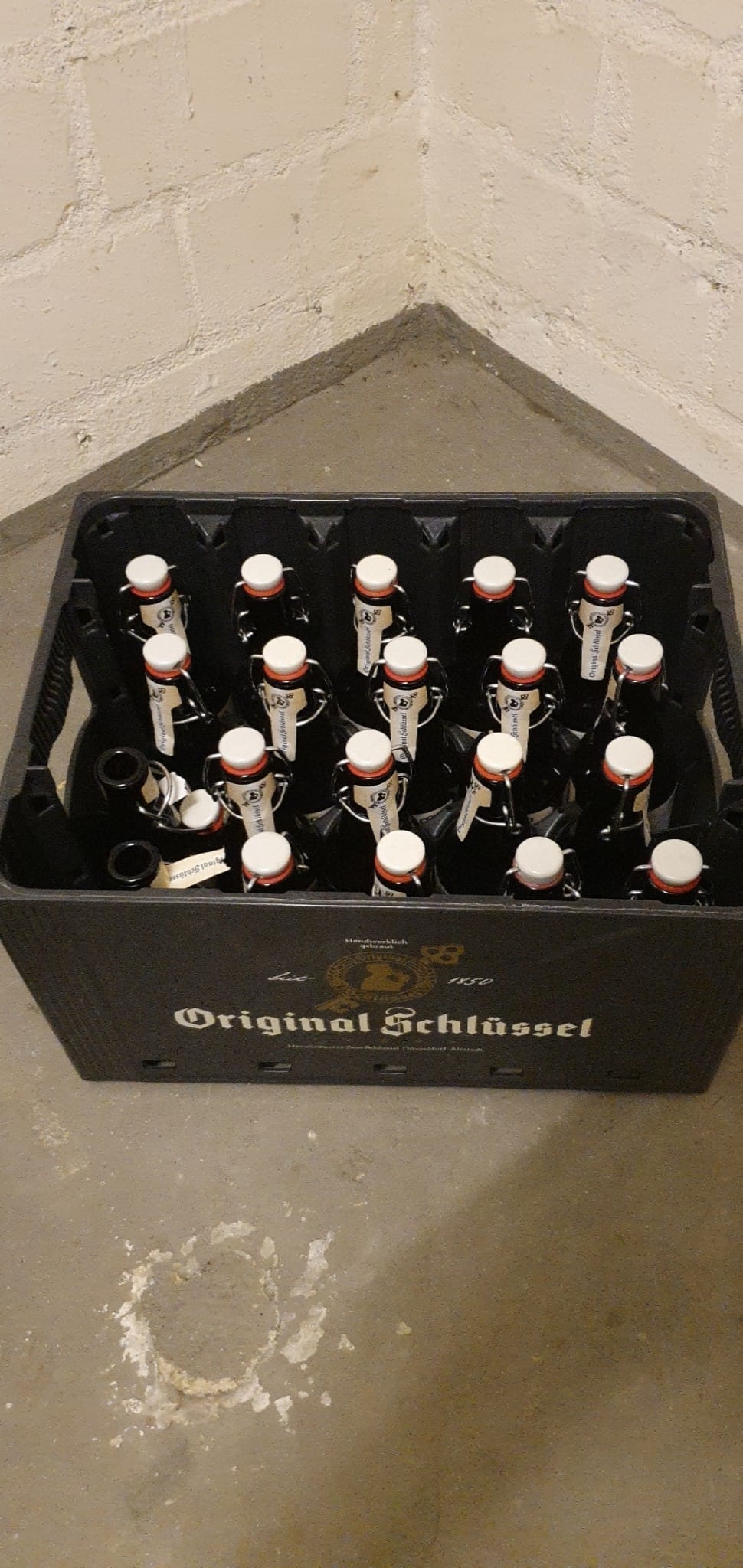 Did somebody say beer?