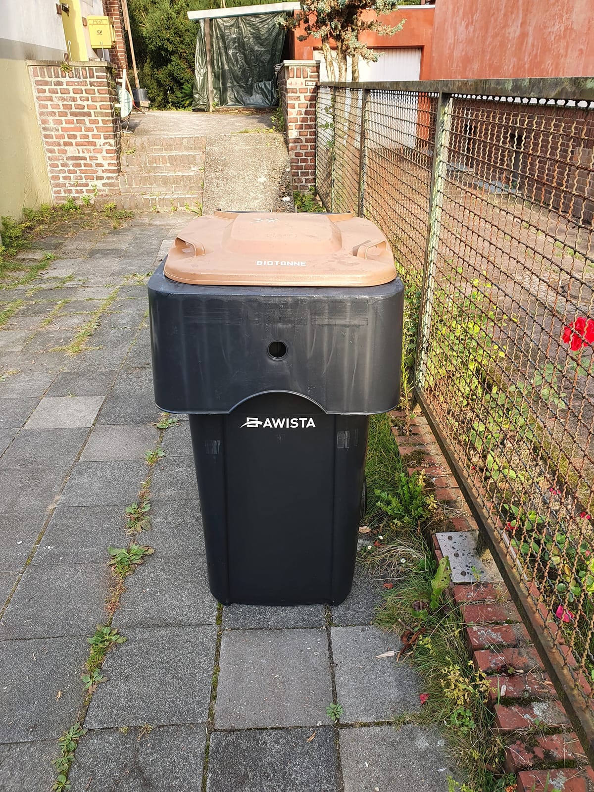 Ready for the jungle!