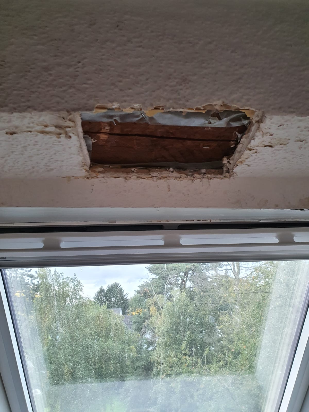 Someone will be very happy