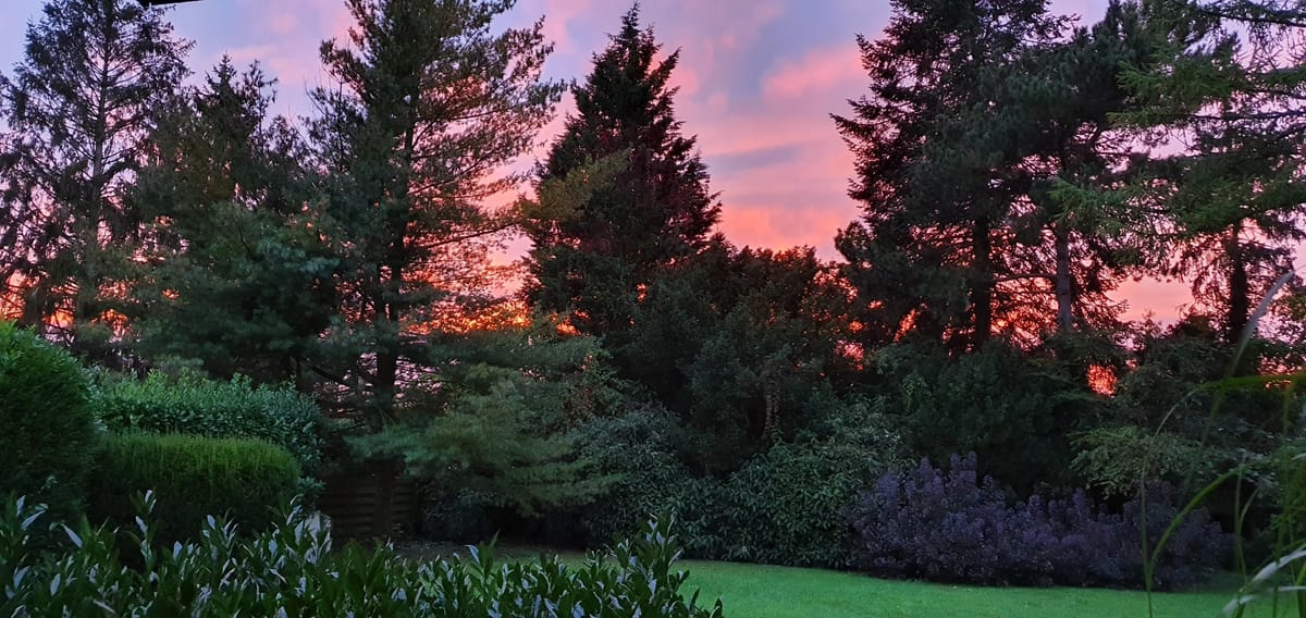 4 October, 2021 19:19