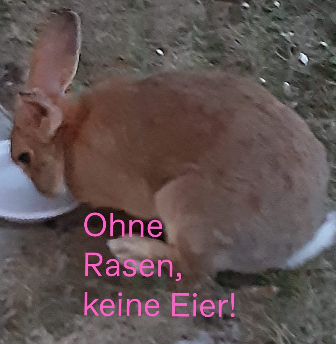 13 April, 2022 21:37