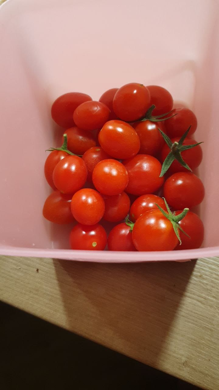 10 August, 2022 21:27