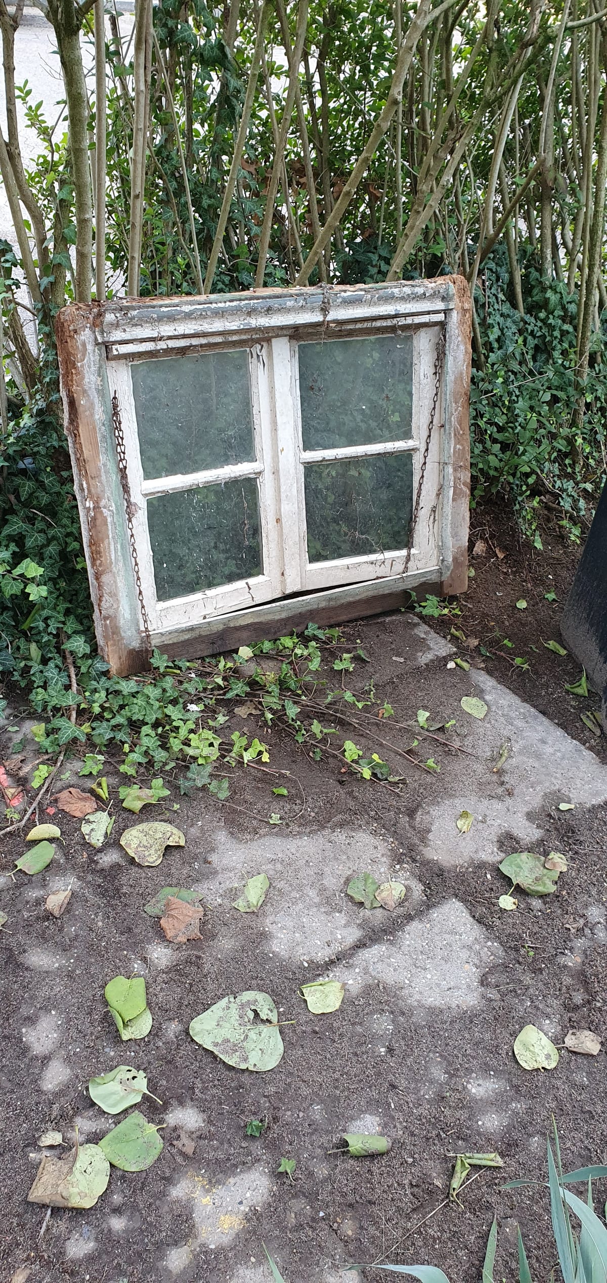 There are windows and then there are windows…