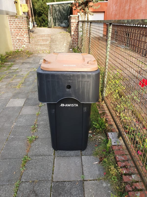 Ready for the jungle!