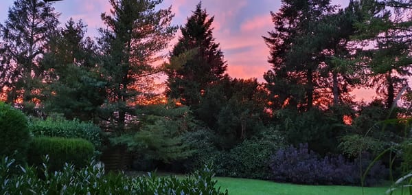 4 October, 2021 19:19