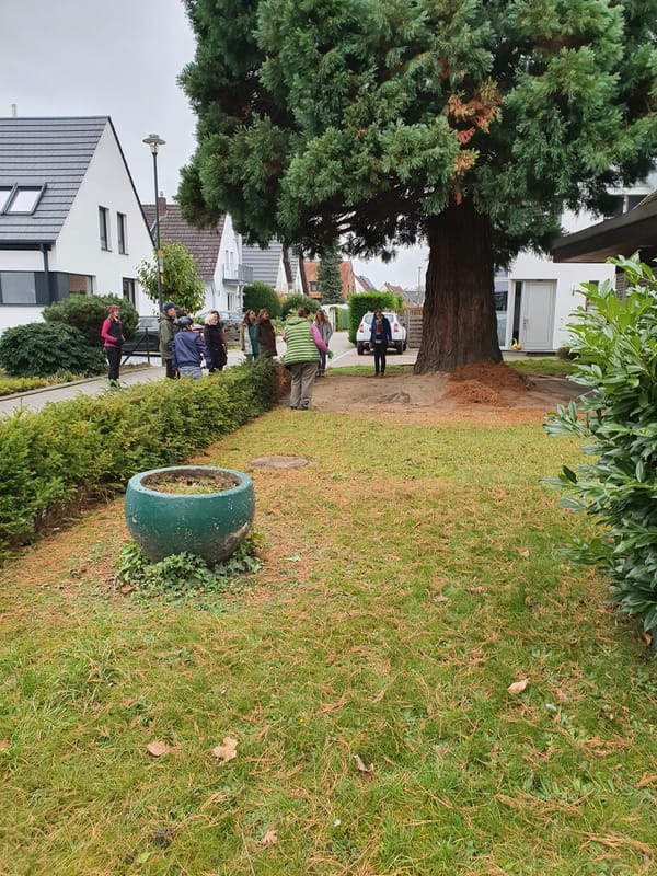 An Audience with Frau Lenz