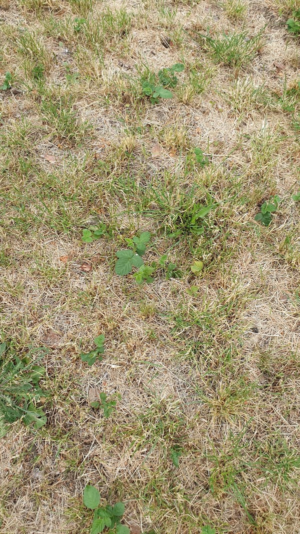 They’re back! And this time it’s war!